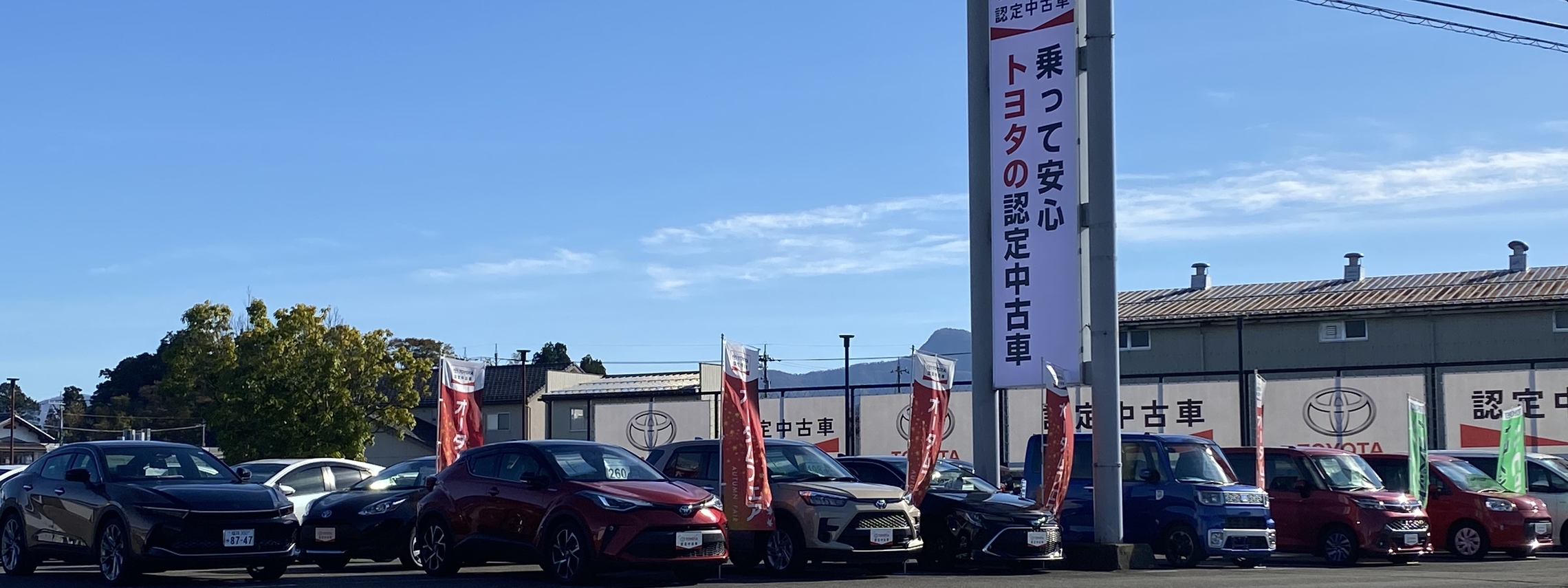 武生店