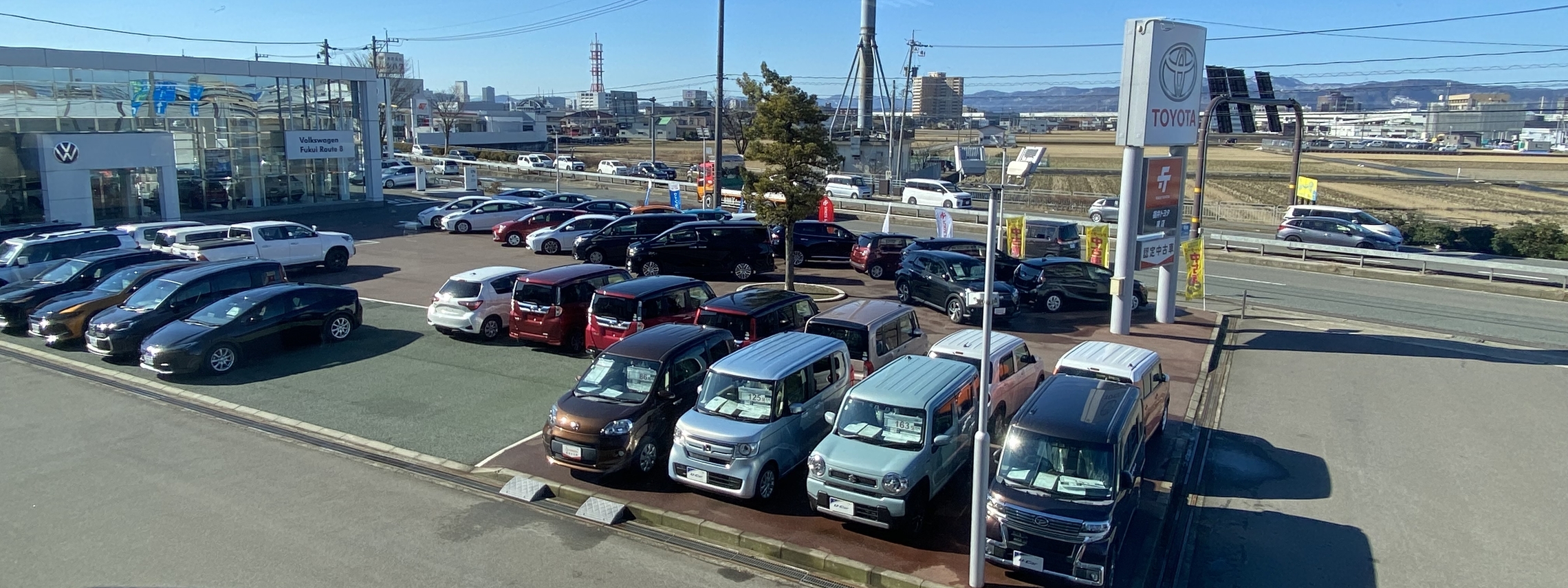 中古車展示2