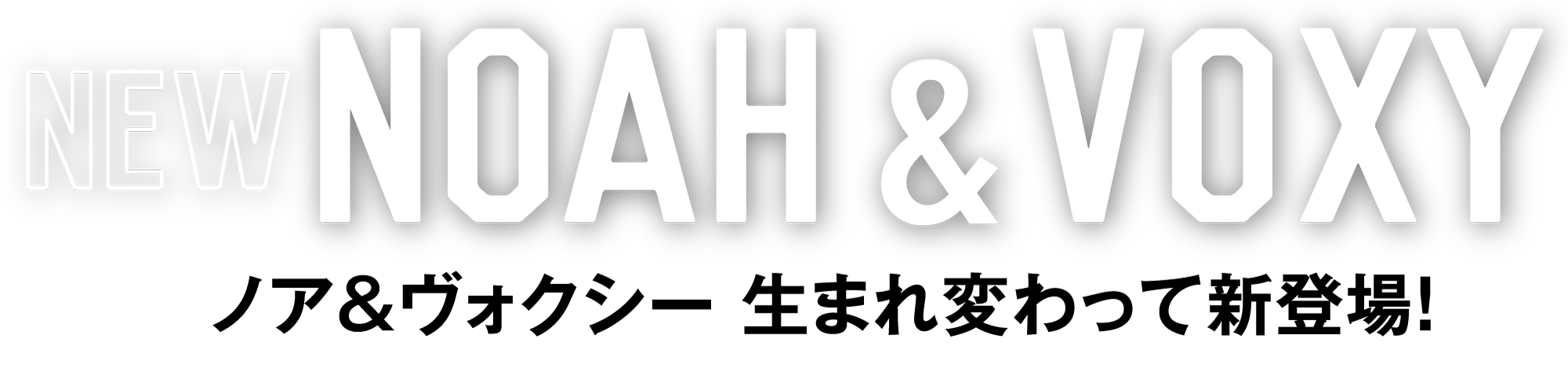 NEW YEAR FES 福井トヨペット各店で開催